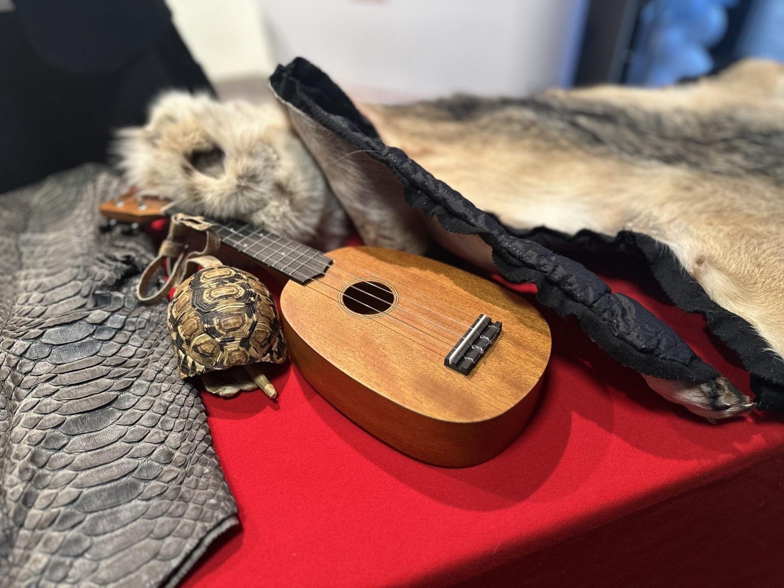 Zdjęcie w galerii na portalu naszwodzislaw.com: Spotkanie z Krajową Administracją Skarbową w Akademii Nauk Stosowanych w Raciborzu wiadomości z regionu