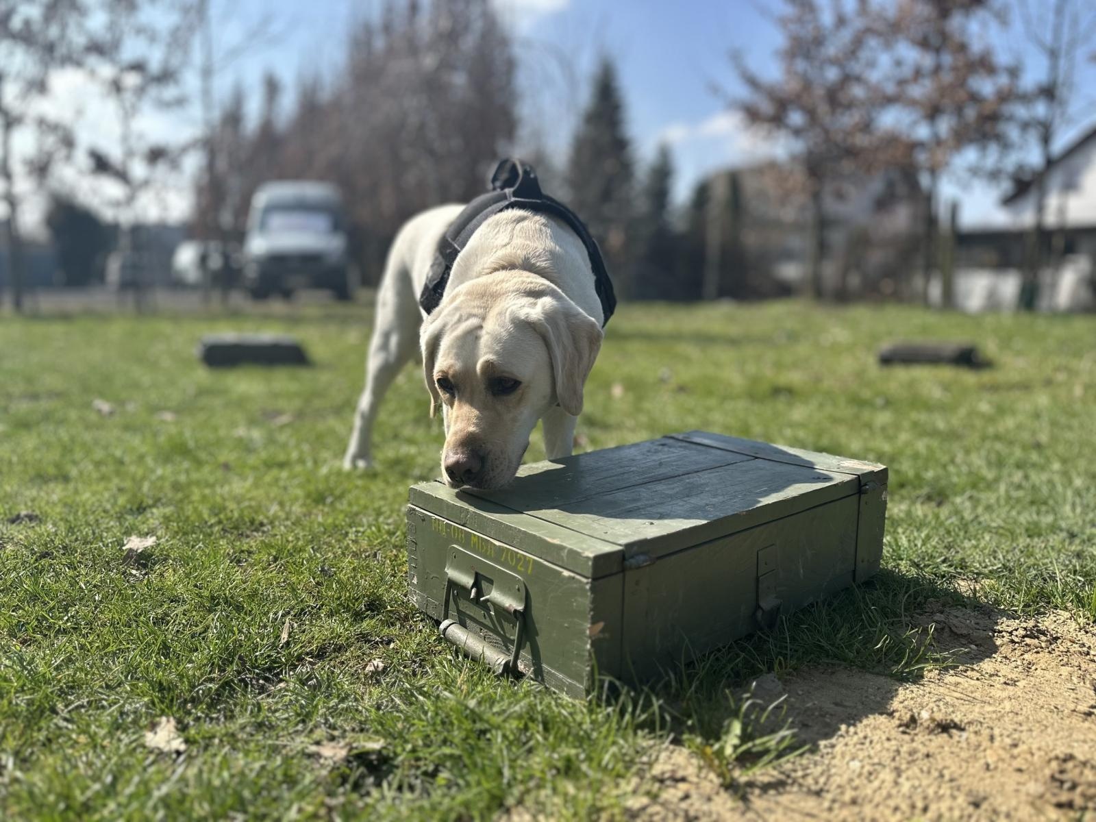 Zdjęcie w galerii na portalu naszwodzislaw.com: Spotkanie z Krajową Administracją Skarbową w Akademii Nauk Stosowanych w Raciborzu wiadomości z regionu