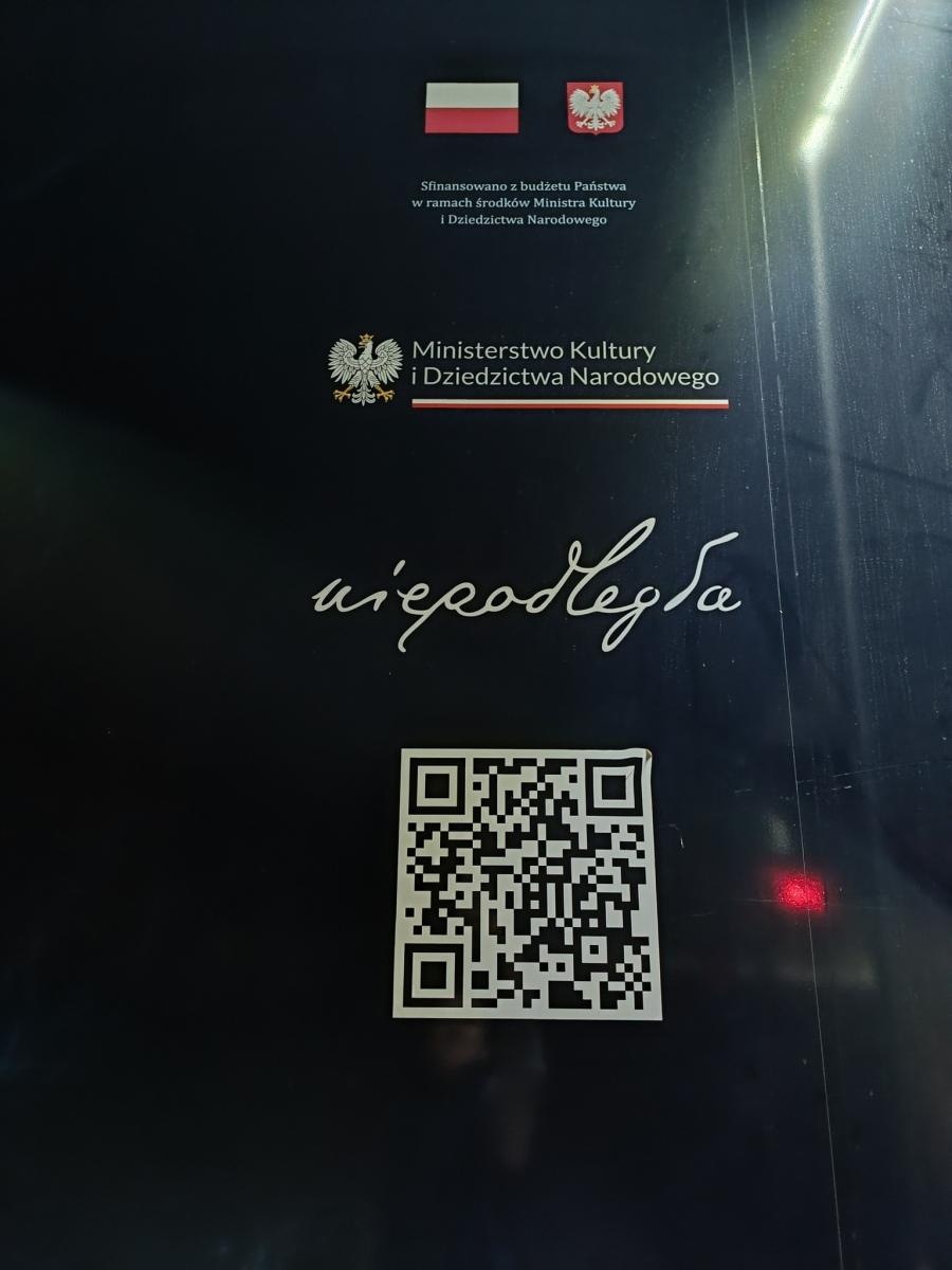 Zdjęcie w galerii na portalu naszwodzislaw.com: Iskry Niepodległej w Gołkowicach frekwencyjnym sukcesem [FOTO] wiadomości z regionu