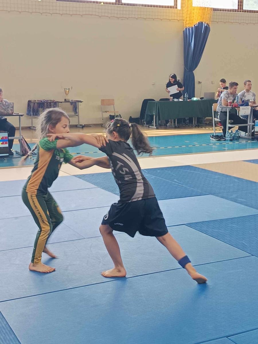 Zdjęcie w galerii na portalu naszwodzislaw.com: Worek medali zawodników Akademii Sportowej Top Team na zawodach superpucharu w Siewierzu wiadomości z regionu