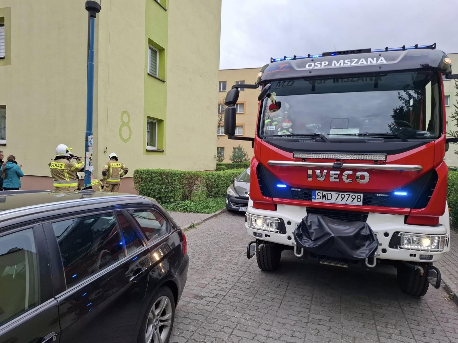 Zdjęcie w galerii na portalu naszwodzislaw.com: Strażacy z Mszany uratowali szpaka uwięzionego w rynnie wiadomości z regionu