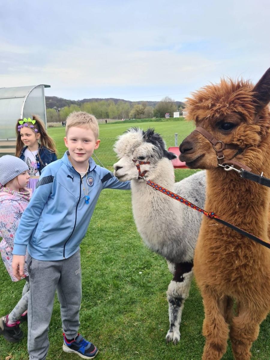 Zdjęcie w galerii na portalu naszwodzislaw.com: W Bełsznicy szukali wielkanocnego zająca [FOTO] wiadomości z regionu