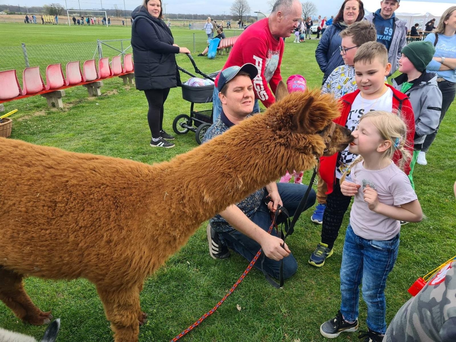 Zdjęcie w galerii na portalu naszwodzislaw.com: W Bełsznicy szukali wielkanocnego zająca [FOTO] wiadomości z regionu