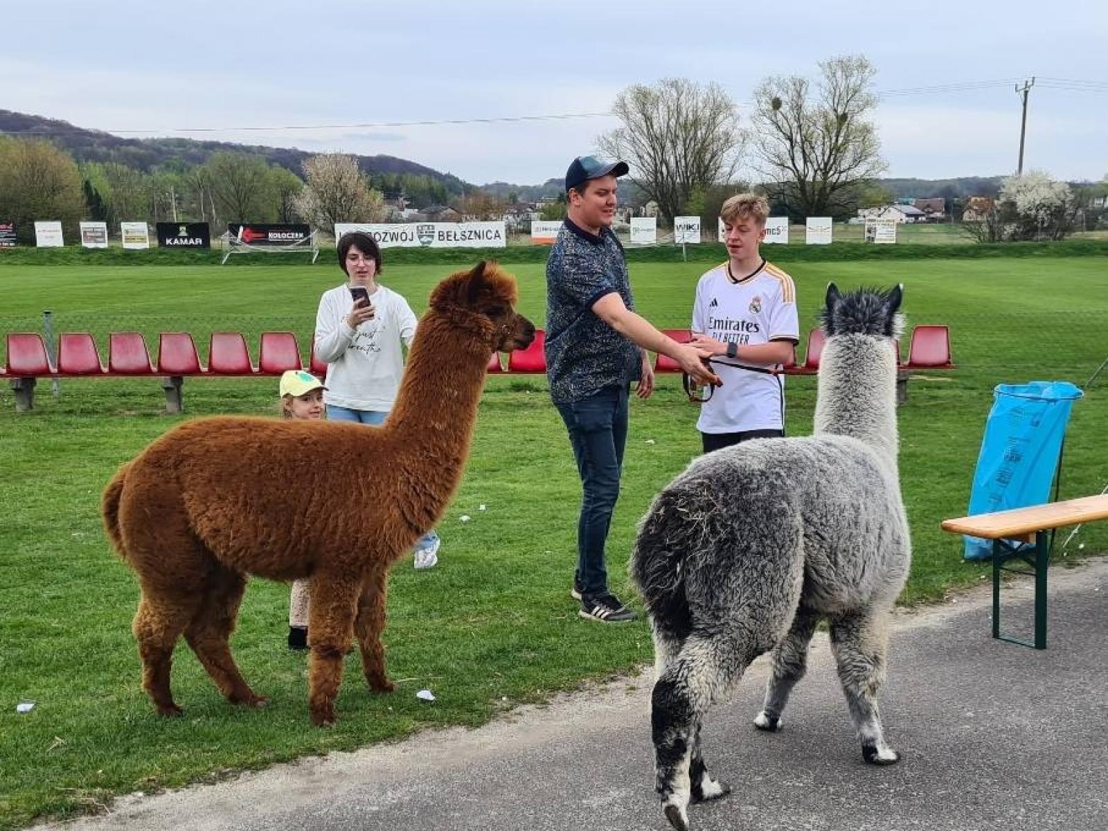 Zdjęcie w galerii na portalu naszwodzislaw.com: W Bełsznicy szukali wielkanocnego zająca [FOTO] wiadomości z regionu