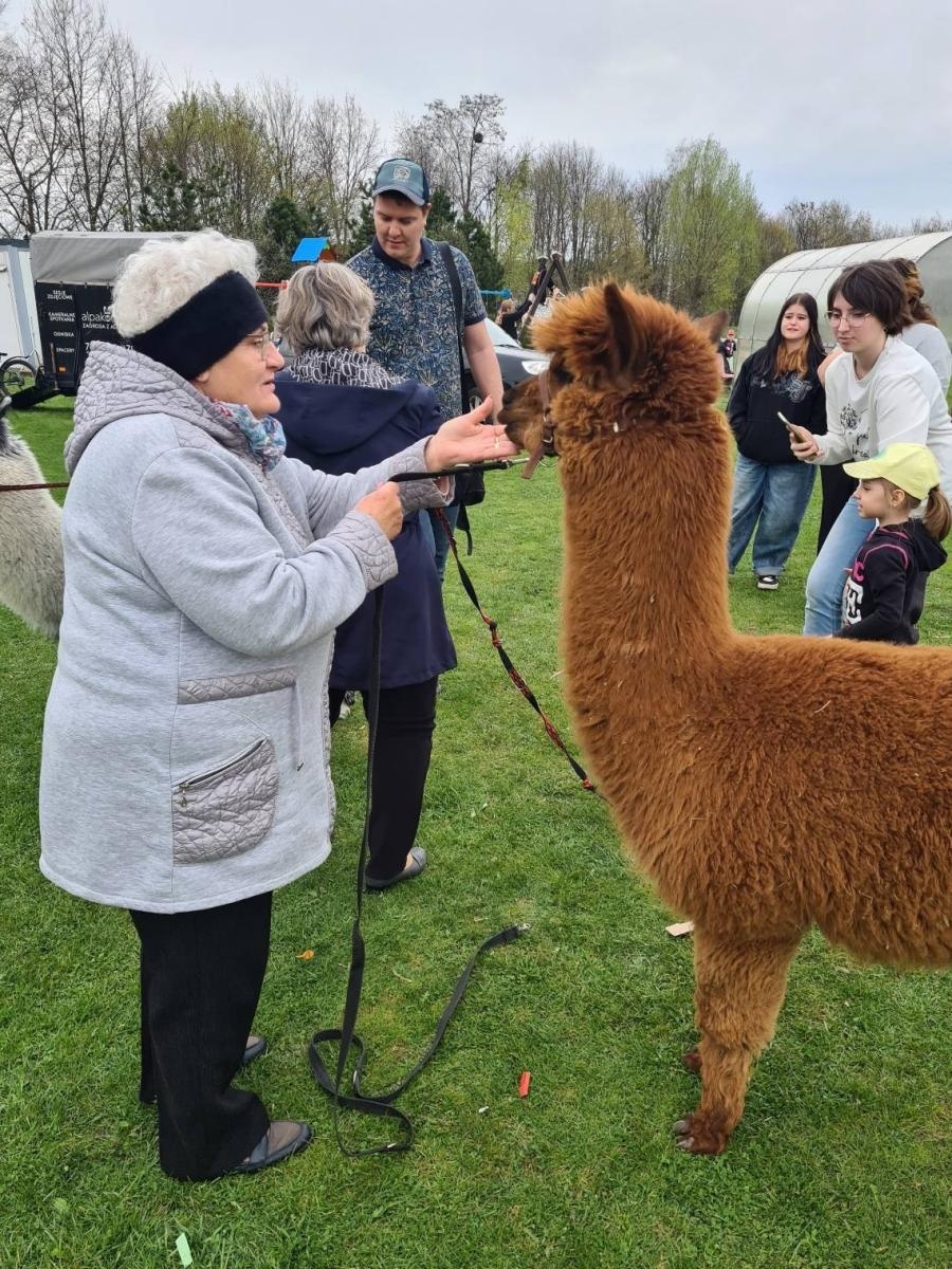 Zdjęcie w galerii na portalu naszwodzislaw.com: W Bełsznicy szukali wielkanocnego zająca [FOTO] wiadomości z regionu