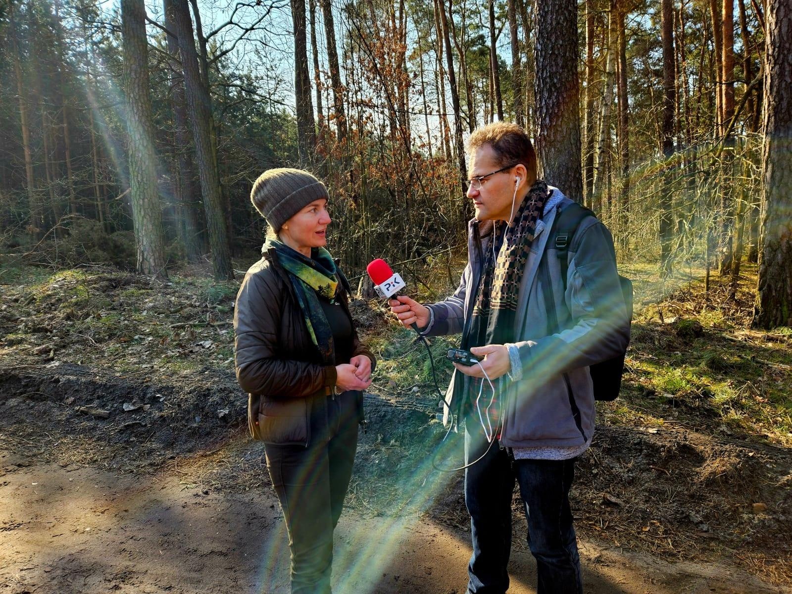 Zdjęcie w galerii na portalu naszwodzislaw.com: Lasy na nowe 100-lecie – leśnicy sadzą pół miliarda drzew rocznie wiadomości z regionu
