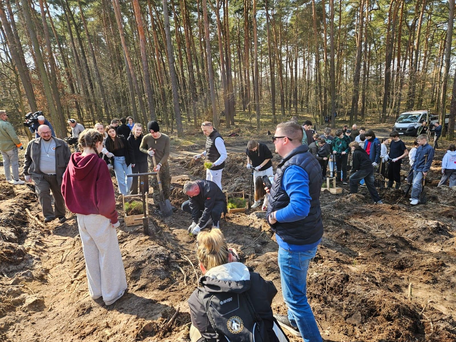 Zdjęcie w galerii na portalu naszwodzislaw.com: Lasy na nowe 100-lecie – leśnicy sadzą pół miliarda drzew rocznie wiadomości z regionu