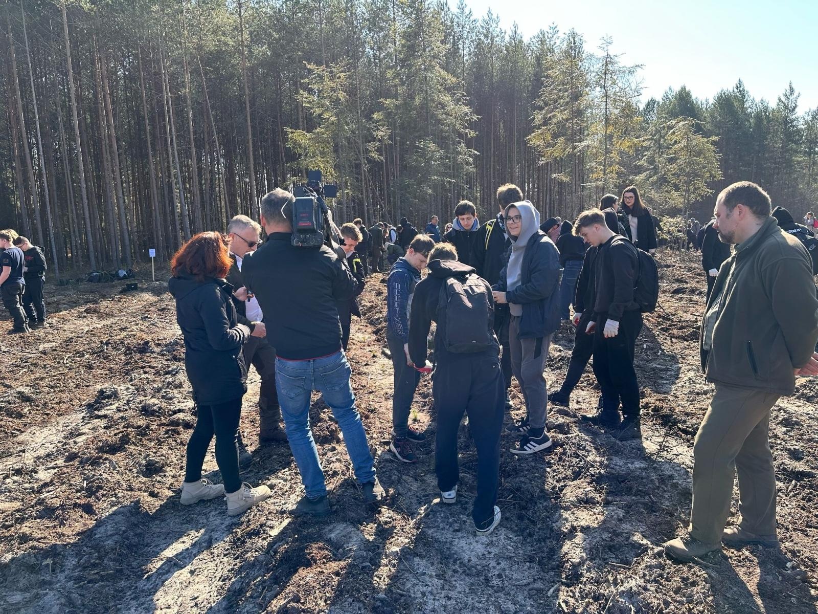 Zdjęcie w galerii na portalu naszwodzislaw.com: Lasy na nowe 100-lecie – leśnicy sadzą pół miliarda drzew rocznie wiadomości z regionu