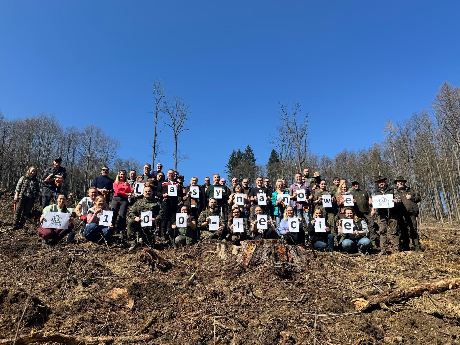 Zdjęcie w galerii na portalu naszwodzislaw.com: Lasy na nowe 100-lecie – leśnicy sadzą pół miliarda drzew rocznie wiadomości z regionu