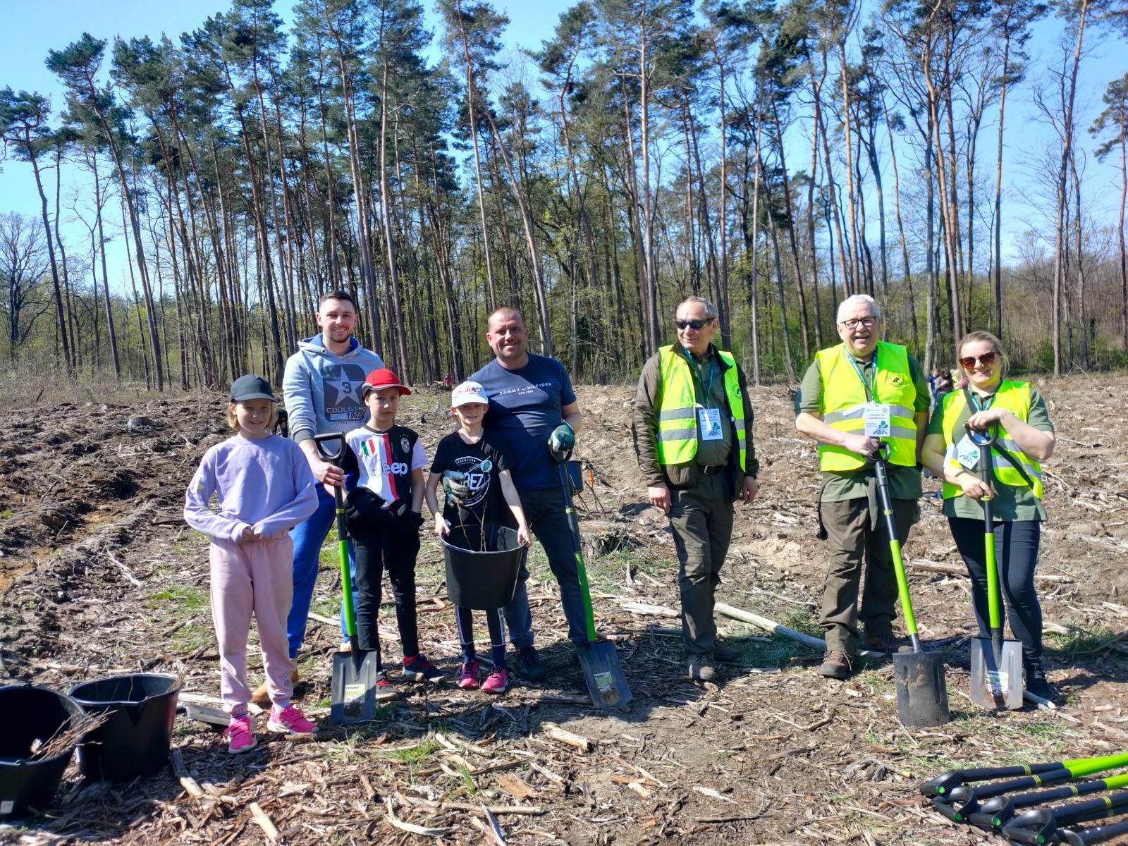 Zdjęcie w galerii na portalu naszwodzislaw.com: Lasy na nowe 100-lecie – leśnicy sadzą pół miliarda drzew rocznie wiadomości z regionu