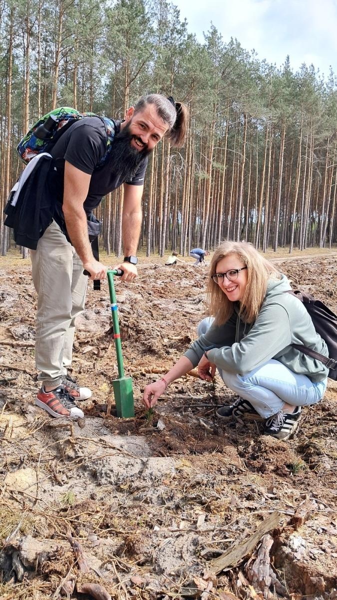 Zdjęcie w galerii na portalu naszwodzislaw.com: Lasy na nowe 100-lecie – leśnicy sadzą pół miliarda drzew rocznie wiadomości z regionu