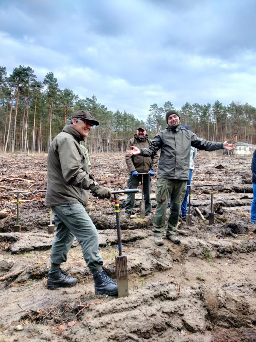Zdjęcie w galerii na portalu naszwodzislaw.com: Lasy na nowe 100-lecie – leśnicy sadzą pół miliarda drzew rocznie wiadomości z regionu