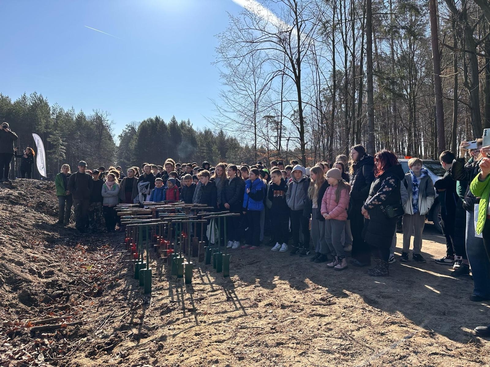 Zdjęcie w galerii na portalu naszwodzislaw.com: Lasy na nowe 100-lecie – leśnicy sadzą pół miliarda drzew rocznie wiadomości z regionu