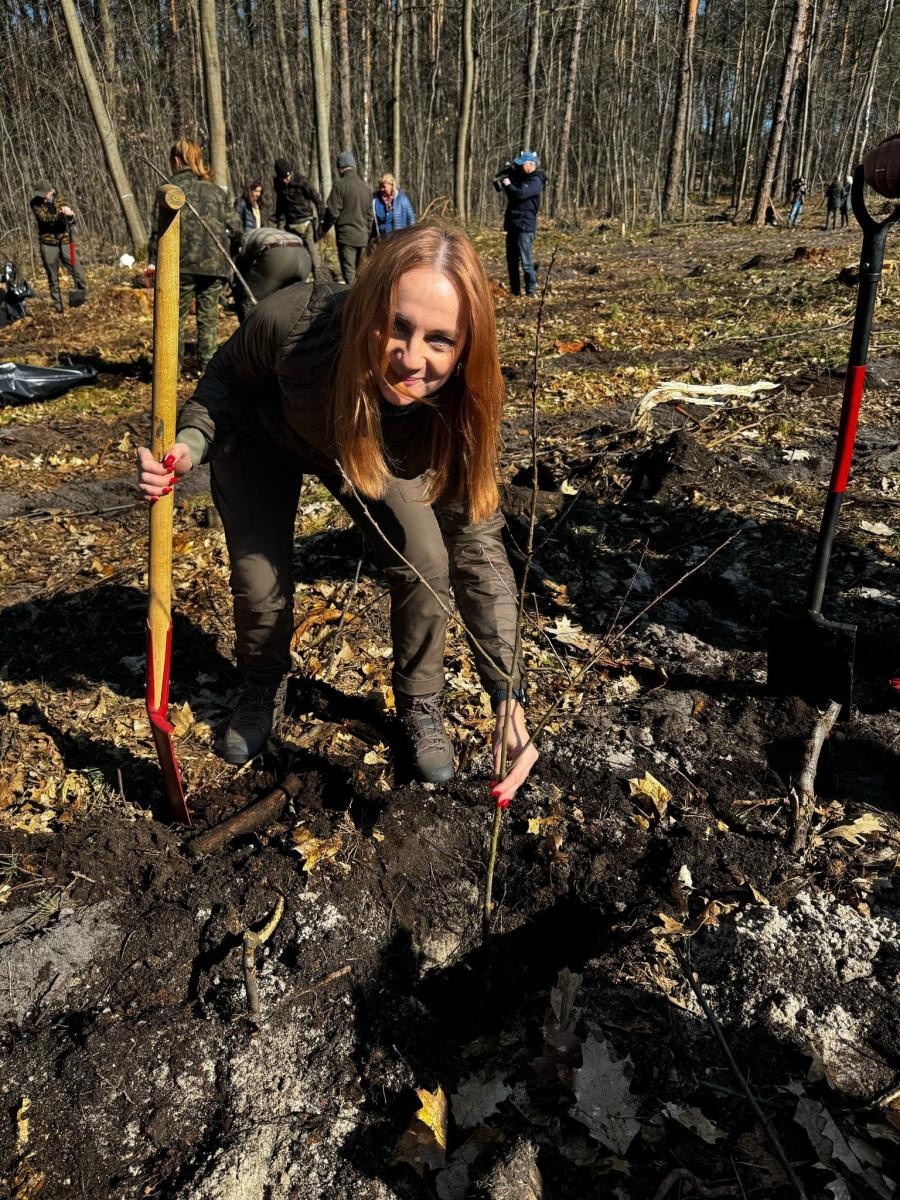 Zdjęcie w galerii na portalu naszwodzislaw.com: Lasy na nowe 100-lecie – leśnicy sadzą pół miliarda drzew rocznie wiadomości z regionu