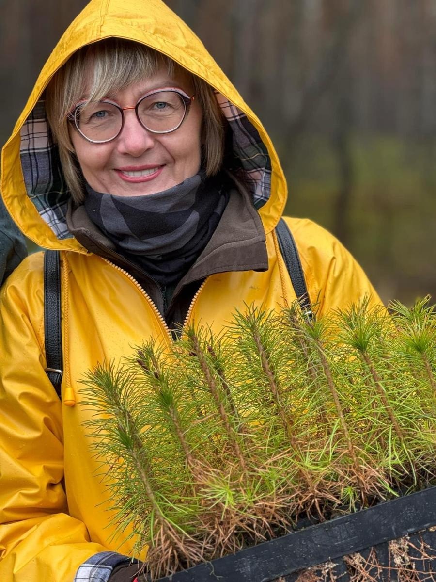 Zdjęcie w galerii na portalu naszwodzislaw.com: Lasy na nowe 100-lecie – leśnicy sadzą pół miliarda drzew rocznie wiadomości z regionu