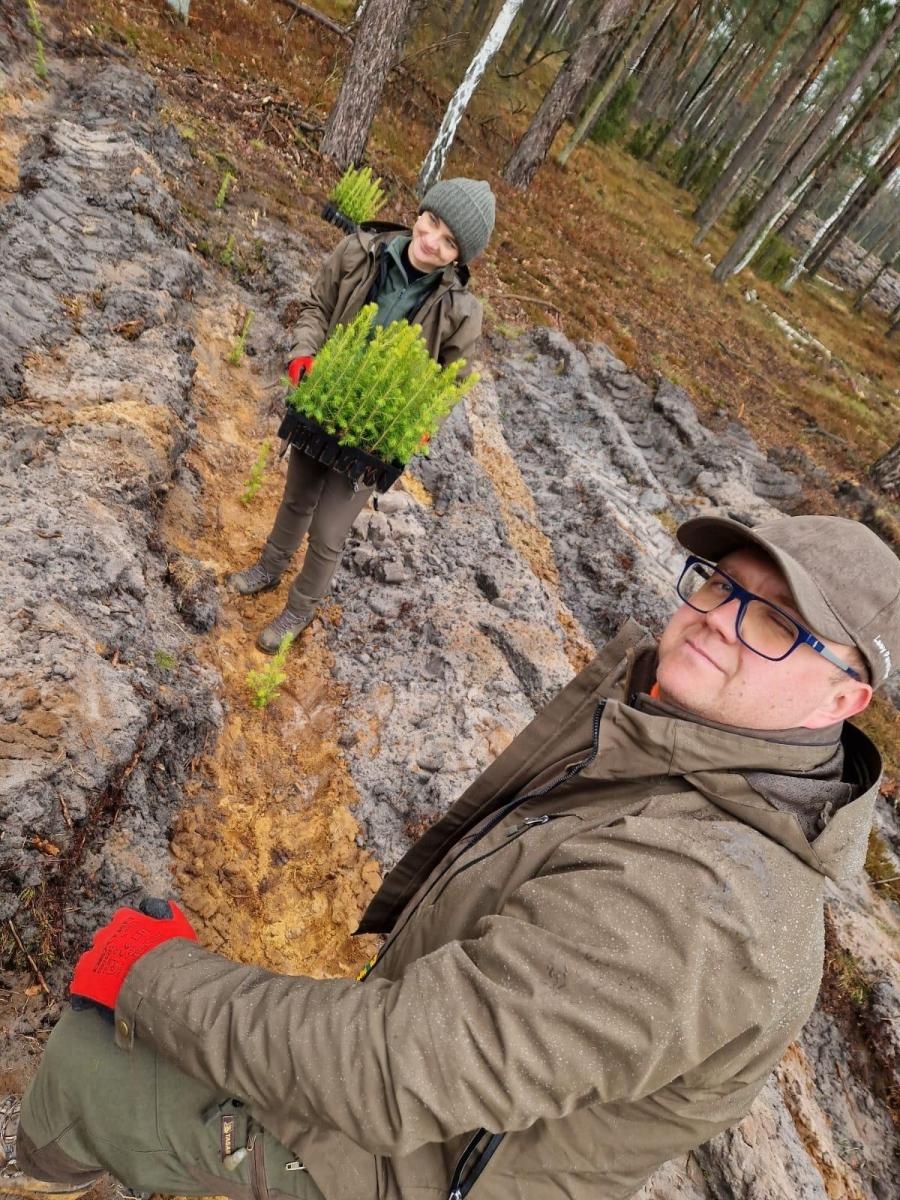 Zdjęcie w galerii na portalu naszwodzislaw.com: Lasy na nowe 100-lecie – leśnicy sadzą pół miliarda drzew rocznie wiadomości z regionu