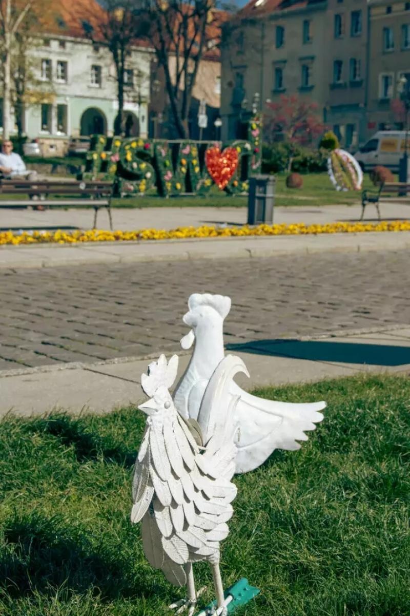 Zdjęcie w galerii na portalu naszwodzislaw.com: Wodzisław Śląski w świątecznej odsłonie wiadomości z regionu