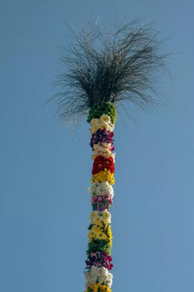 Zdjęcie w galerii na portalu naszwodzislaw.com: Wodzisław Śląski w świątecznej odsłonie wiadomości z regionu