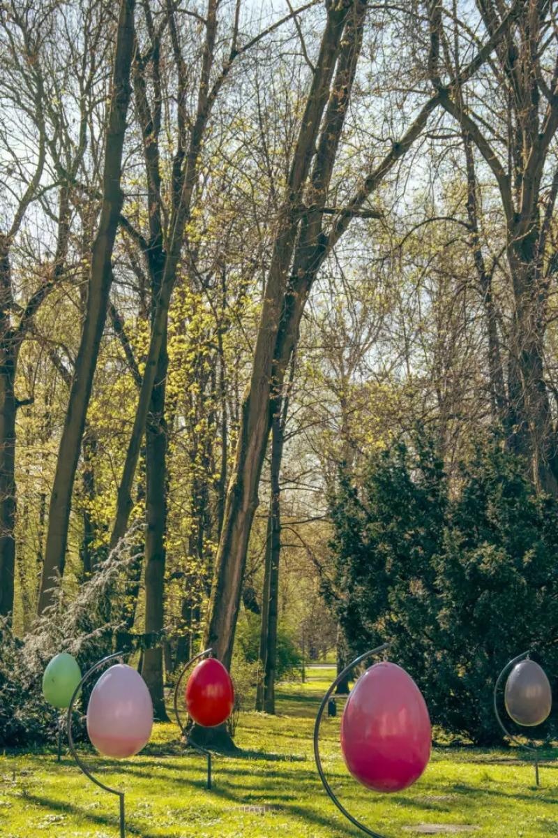 Zdjęcie w galerii na portalu naszwodzislaw.com: Wodzisław Śląski w świątecznej odsłonie wiadomości z regionu