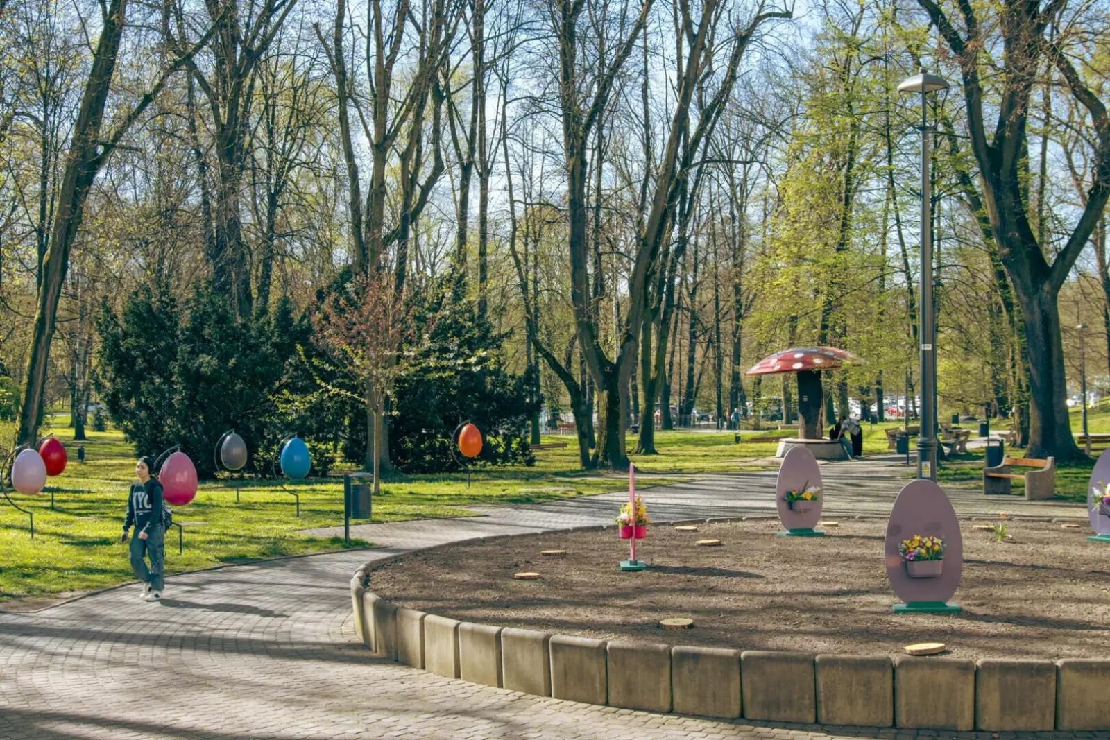 Zdjęcie w galerii na portalu naszwodzislaw.com: Wodzisław Śląski w świątecznej odsłonie wiadomości z regionu