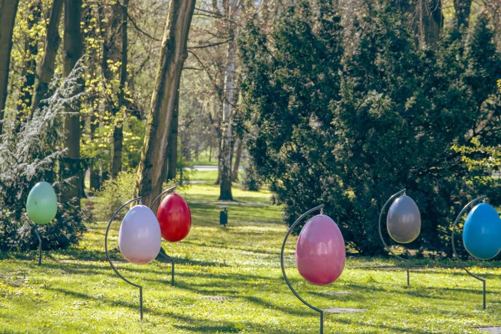 Zdjęcie w galerii na portalu naszwodzislaw.com: Wodzisław Śląski w świątecznej odsłonie wiadomości z regionu