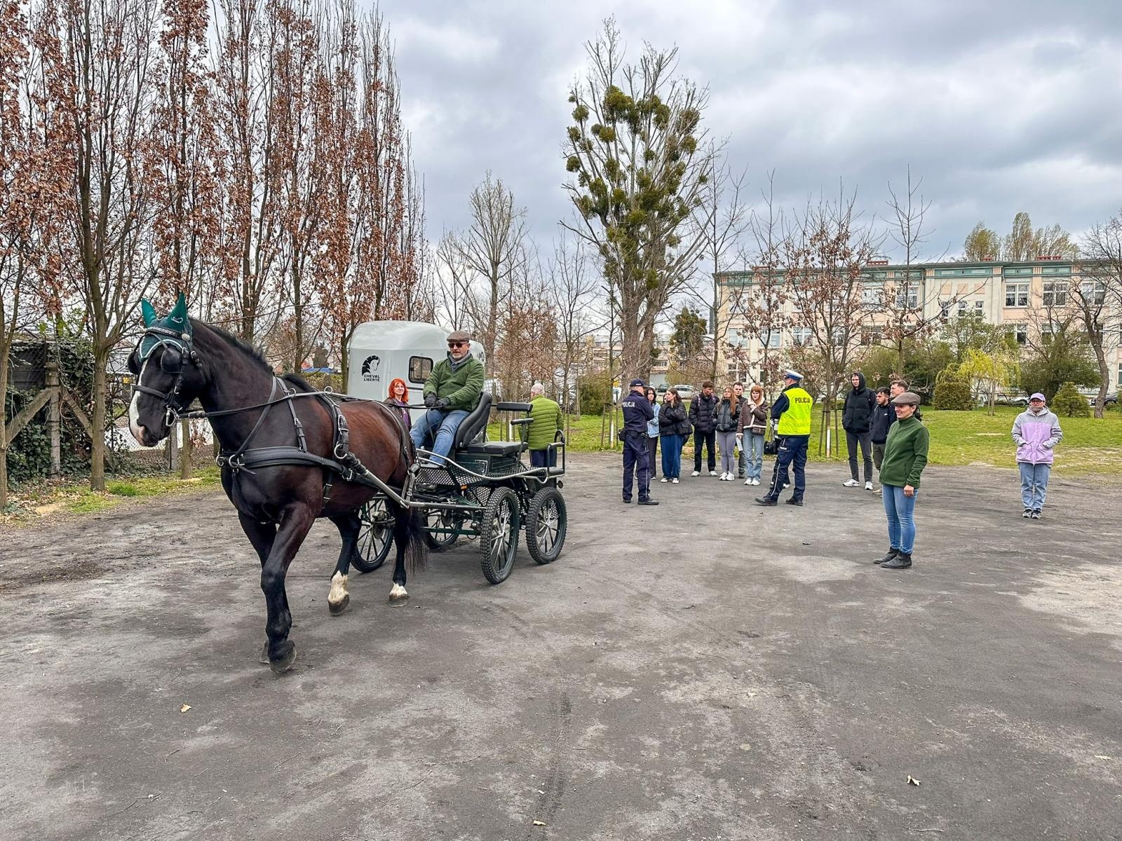 Zdjęcie w galerii na portalu naszwodzislaw.com: Seminarium o obecności koni w przestrzeni publicznej: bezpieczeństwo, służby mundurowe i jeździectwo wiadomości z regionu