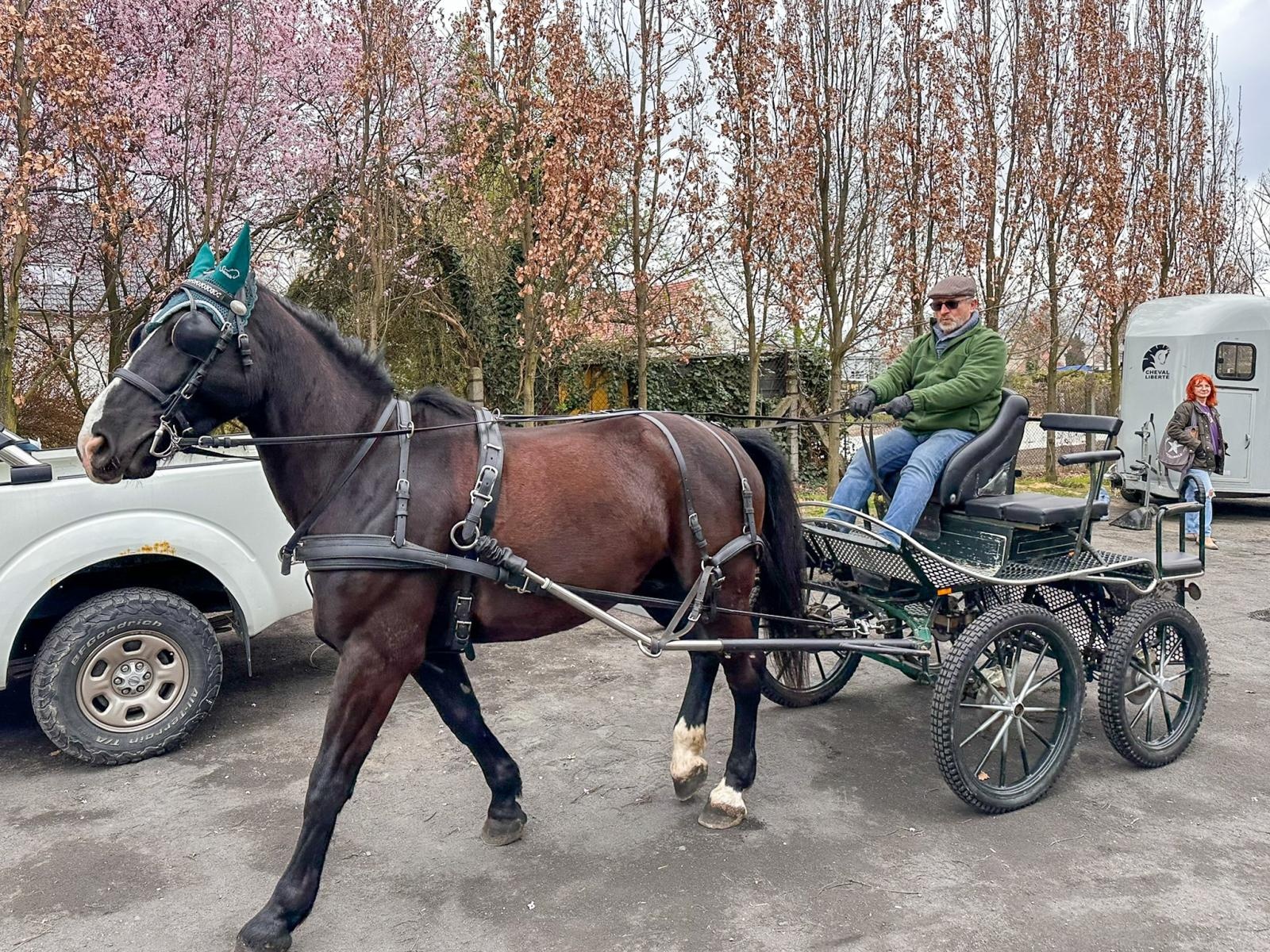 Zdjęcie w galerii na portalu naszwodzislaw.com: Seminarium o obecności koni w przestrzeni publicznej: bezpieczeństwo, służby mundurowe i jeździectwo wiadomości z regionu