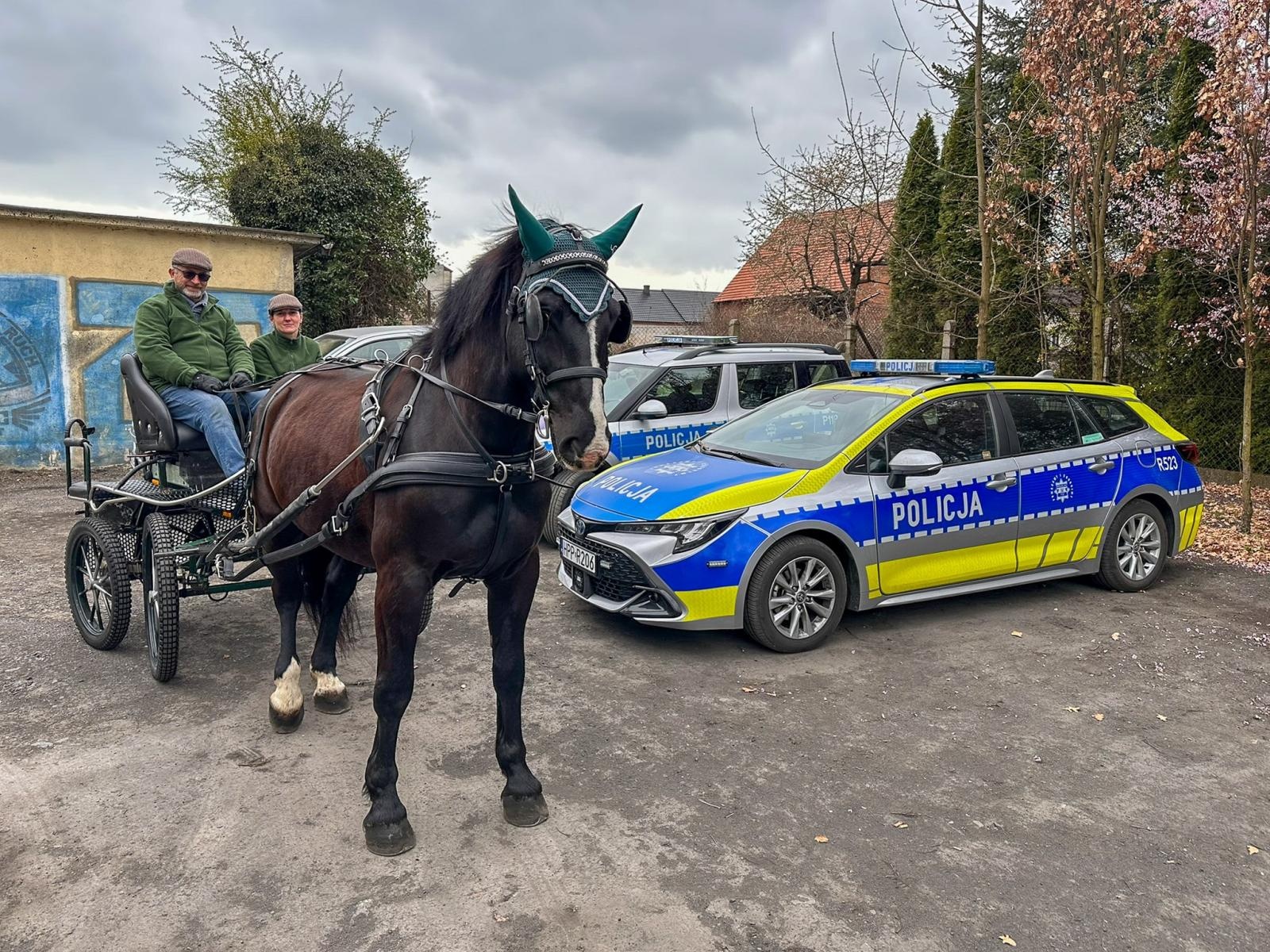 Zdjęcie w galerii na portalu naszwodzislaw.com: Seminarium o obecności koni w przestrzeni publicznej: bezpieczeństwo, służby mundurowe i jeździectwo wiadomości z regionu