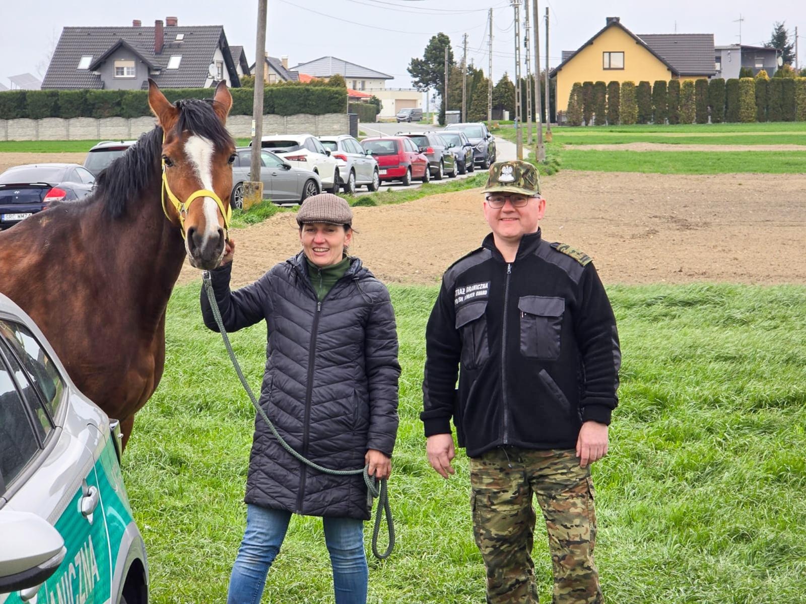 Zdjęcie w galerii na portalu naszwodzislaw.com: Seminarium o obecności koni w przestrzeni publicznej: bezpieczeństwo, służby mundurowe i jeździectwo wiadomości z regionu