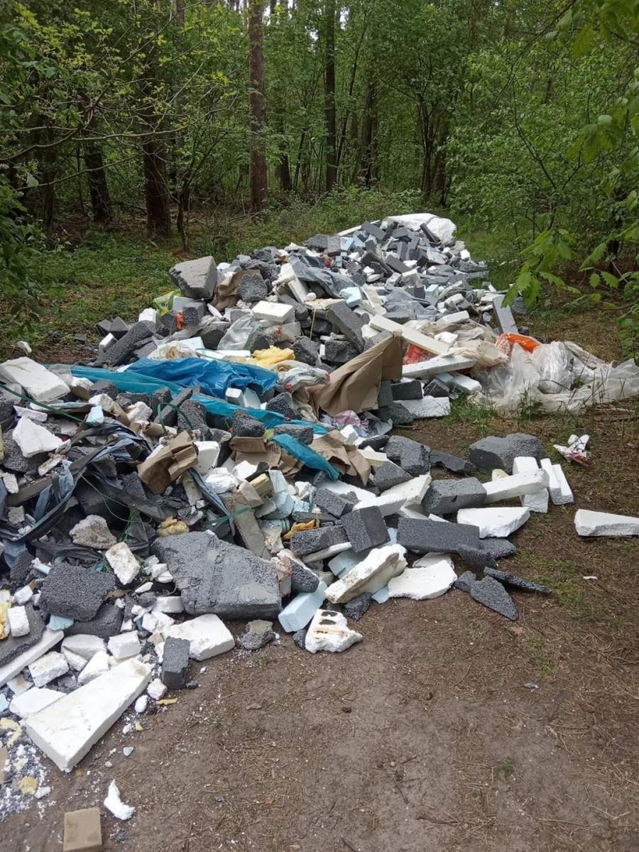 Zdjęcie w galerii na portalu naszwodzislaw.com: Śmieci w lasach - niekończąca się opowieść wiadomości z regionu