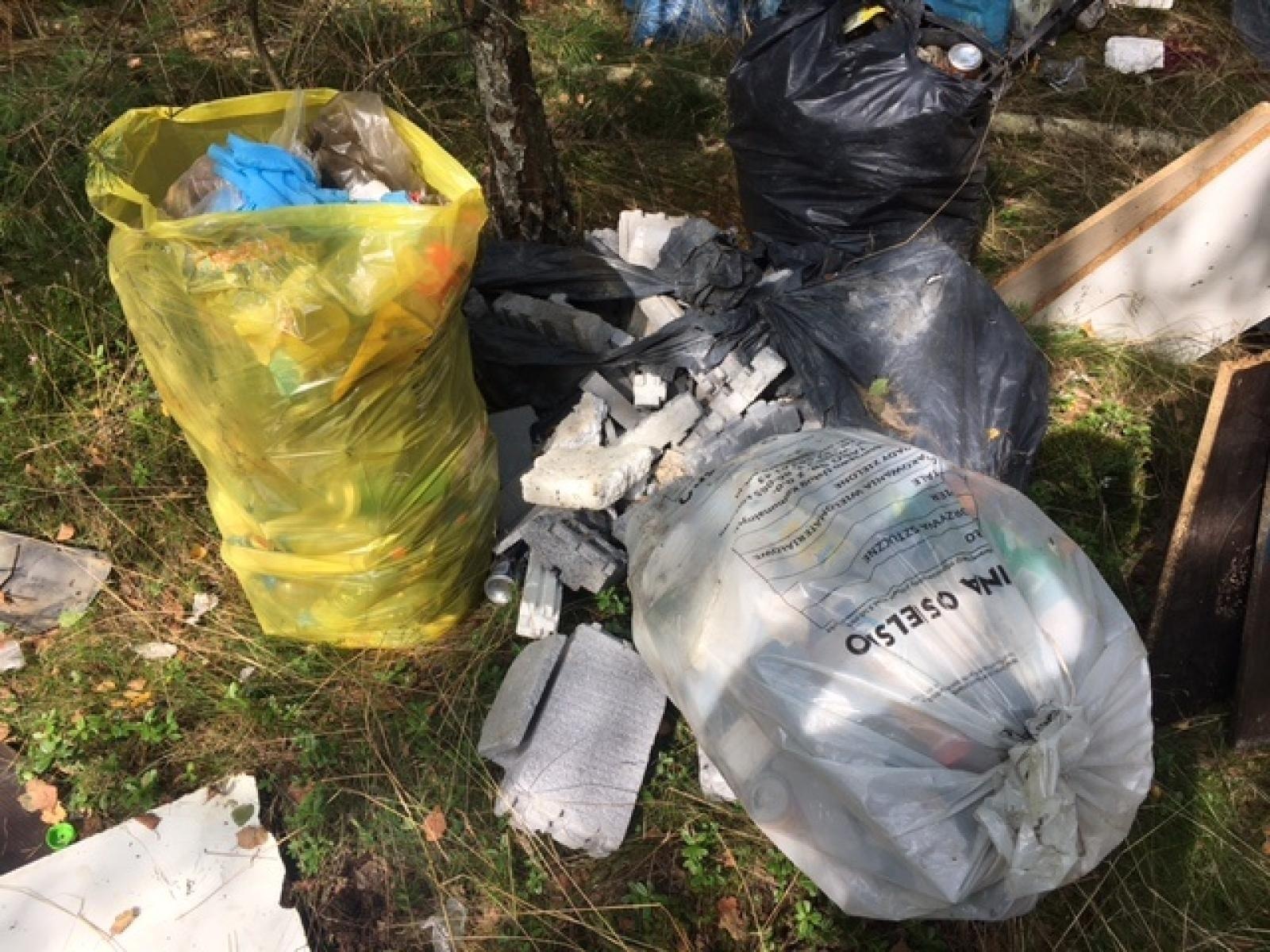 Zdjęcie w galerii na portalu naszwodzislaw.com: Śmieci w lasach - niekończąca się opowieść wiadomości z regionu