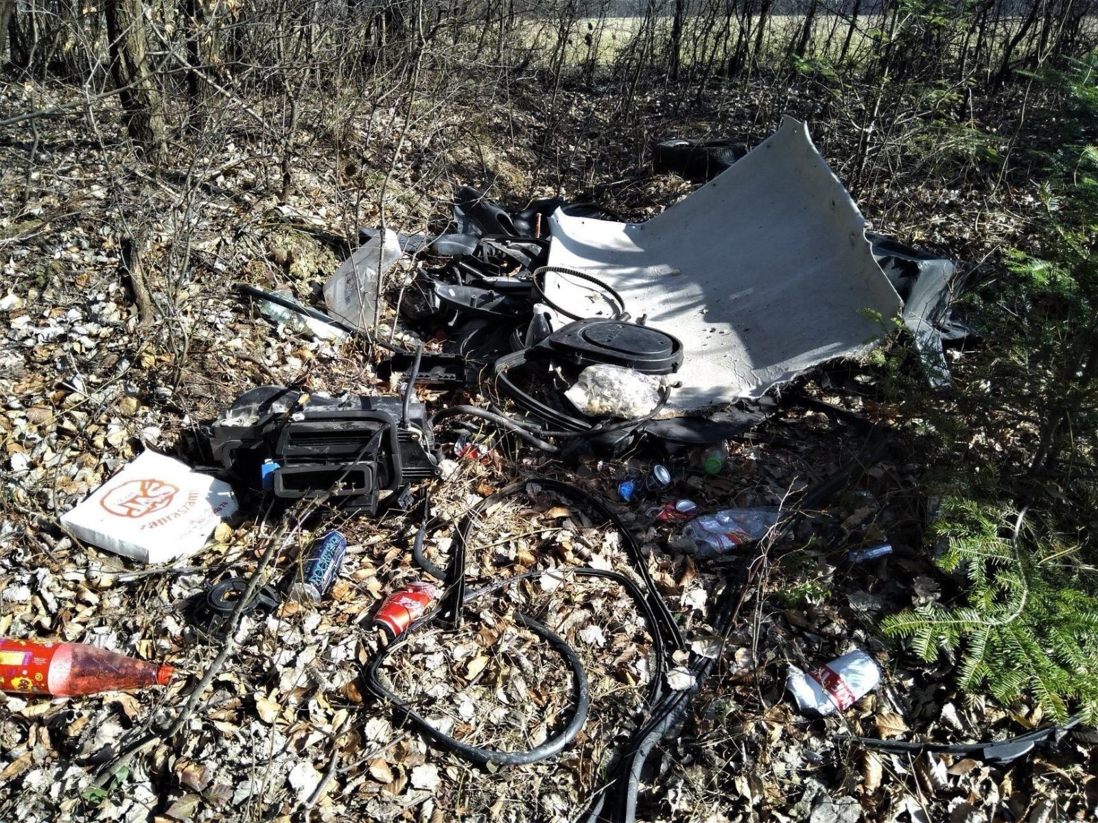 Zdjęcie w galerii na portalu naszwodzislaw.com: Śmieci w lasach - niekończąca się opowieść wiadomości z regionu