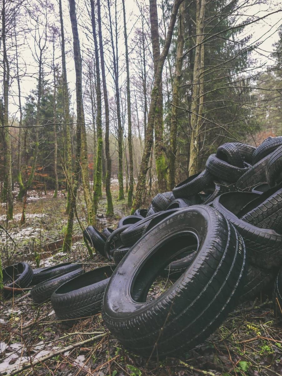 Zdjęcie w galerii na portalu naszwodzislaw.com: Śmieci w lasach - niekończąca się opowieść wiadomości z regionu