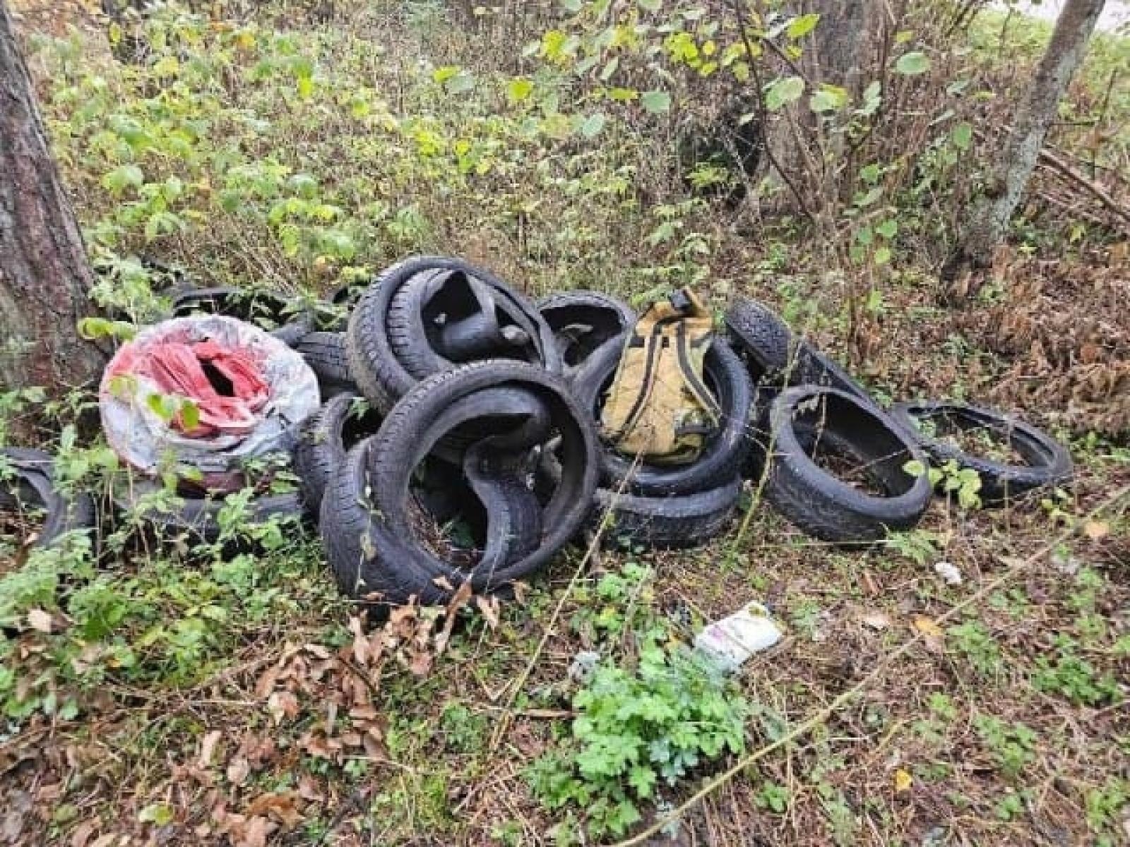 Zdjęcie w galerii na portalu naszwodzislaw.com: Śmieci w lasach - niekończąca się opowieść wiadomości z regionu