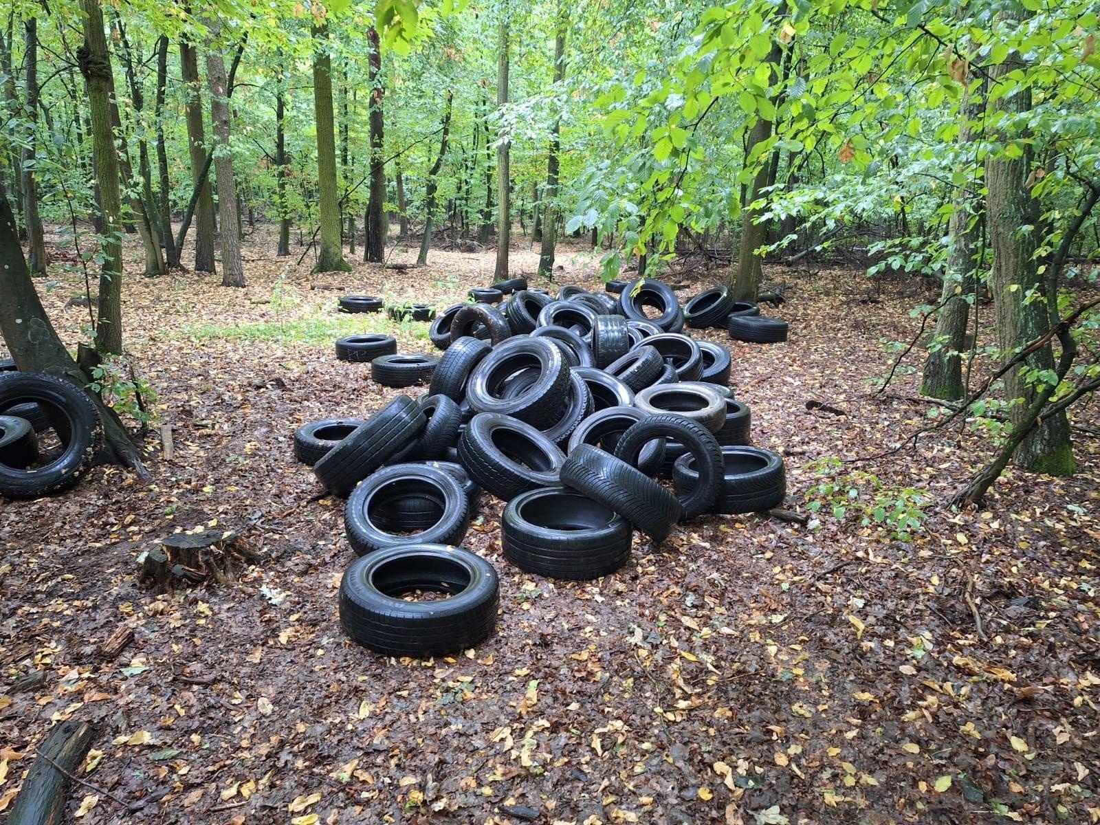 Zdjęcie w galerii na portalu naszwodzislaw.com: Śmieci w lasach - niekończąca się opowieść wiadomości z regionu