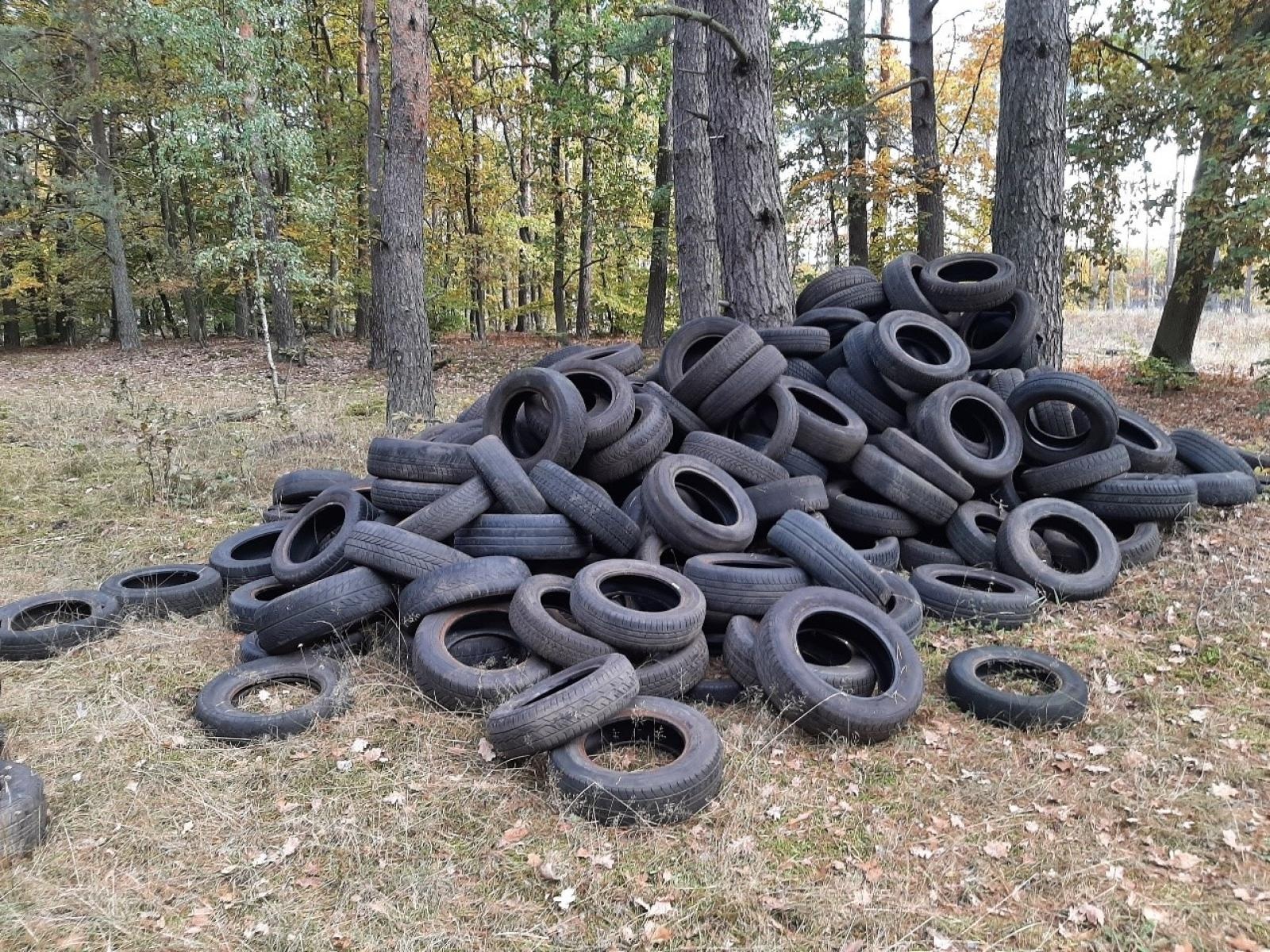 Zdjęcie w galerii na portalu naszwodzislaw.com: Śmieci w lasach - niekończąca się opowieść wiadomości z regionu