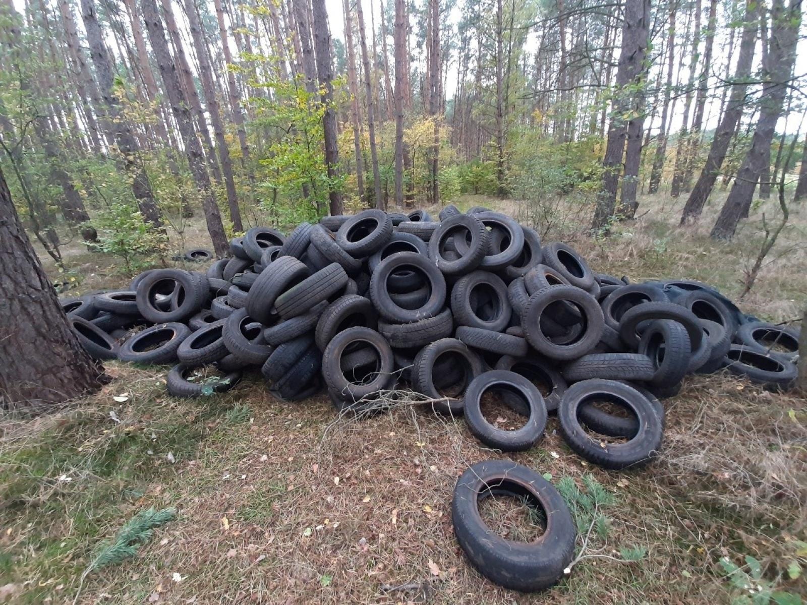 Zdjęcie w galerii na portalu naszwodzislaw.com: Śmieci w lasach - niekończąca się opowieść wiadomości z regionu