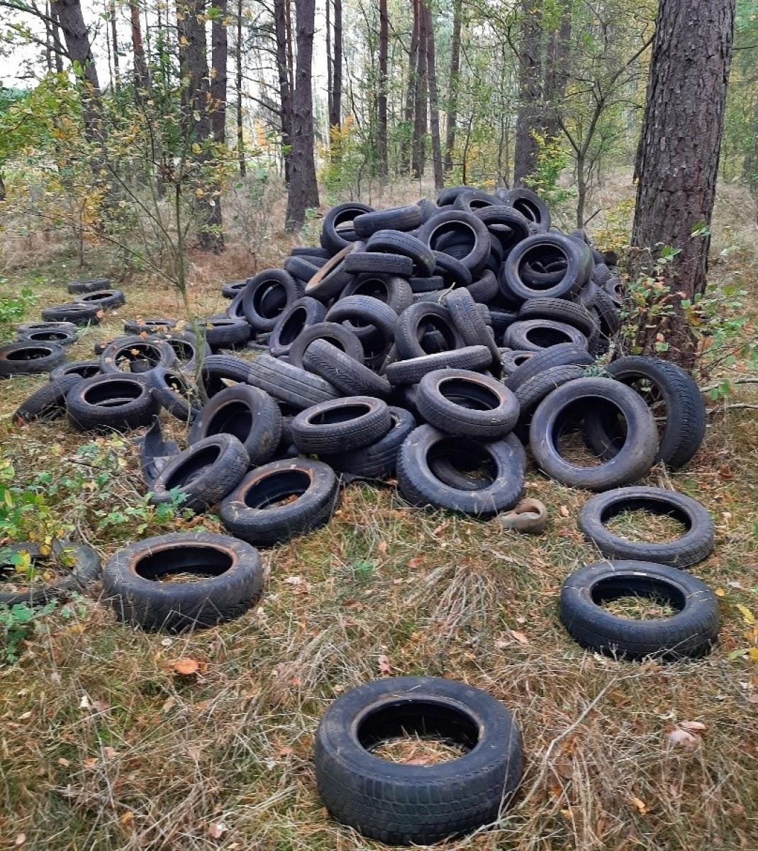 Zdjęcie w galerii na portalu naszwodzislaw.com: Śmieci w lasach - niekończąca się opowieść wiadomości z regionu