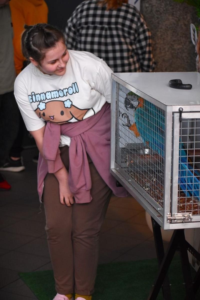 Zdjęcie w galerii na portalu naszwodzislaw.com: Muzyczna podróż do serca dżungli [FOTO] wiadomości z regionu