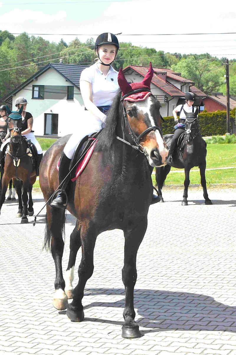 Zdjęcie w galerii na portalu naszwodzislaw.com: Maj w Gminie Godów rozpoczął się tradycyjną procesją konną wiadomości z regionu
