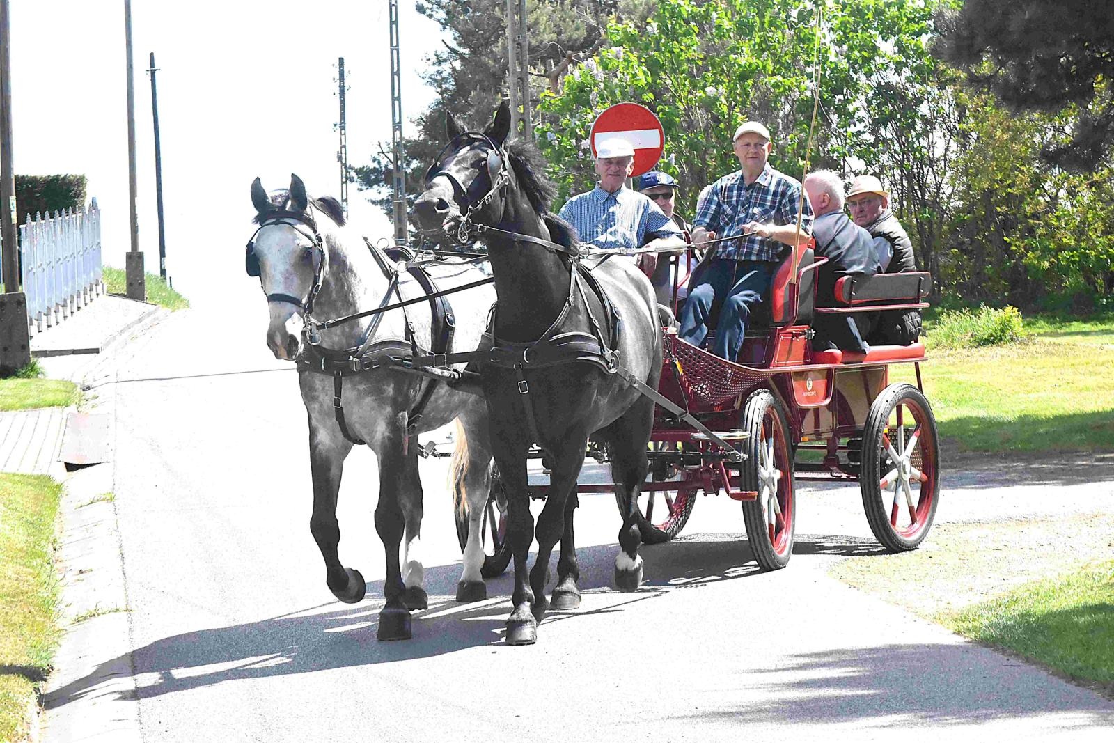 Zdjęcie w galerii na portalu naszwodzislaw.com: Maj w Gminie Godów rozpoczął się tradycyjną procesją konną wiadomości z regionu