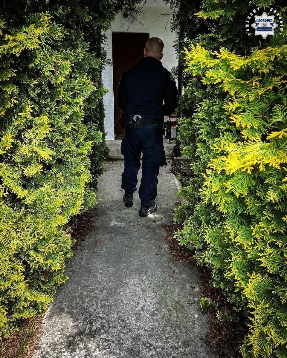 Zdjęcie w galerii na portalu naszwodzislaw.com: Zatrzymano 24-latka z Żor, u którego przebywała 11-letnia Patrycja wiadomości z regionu