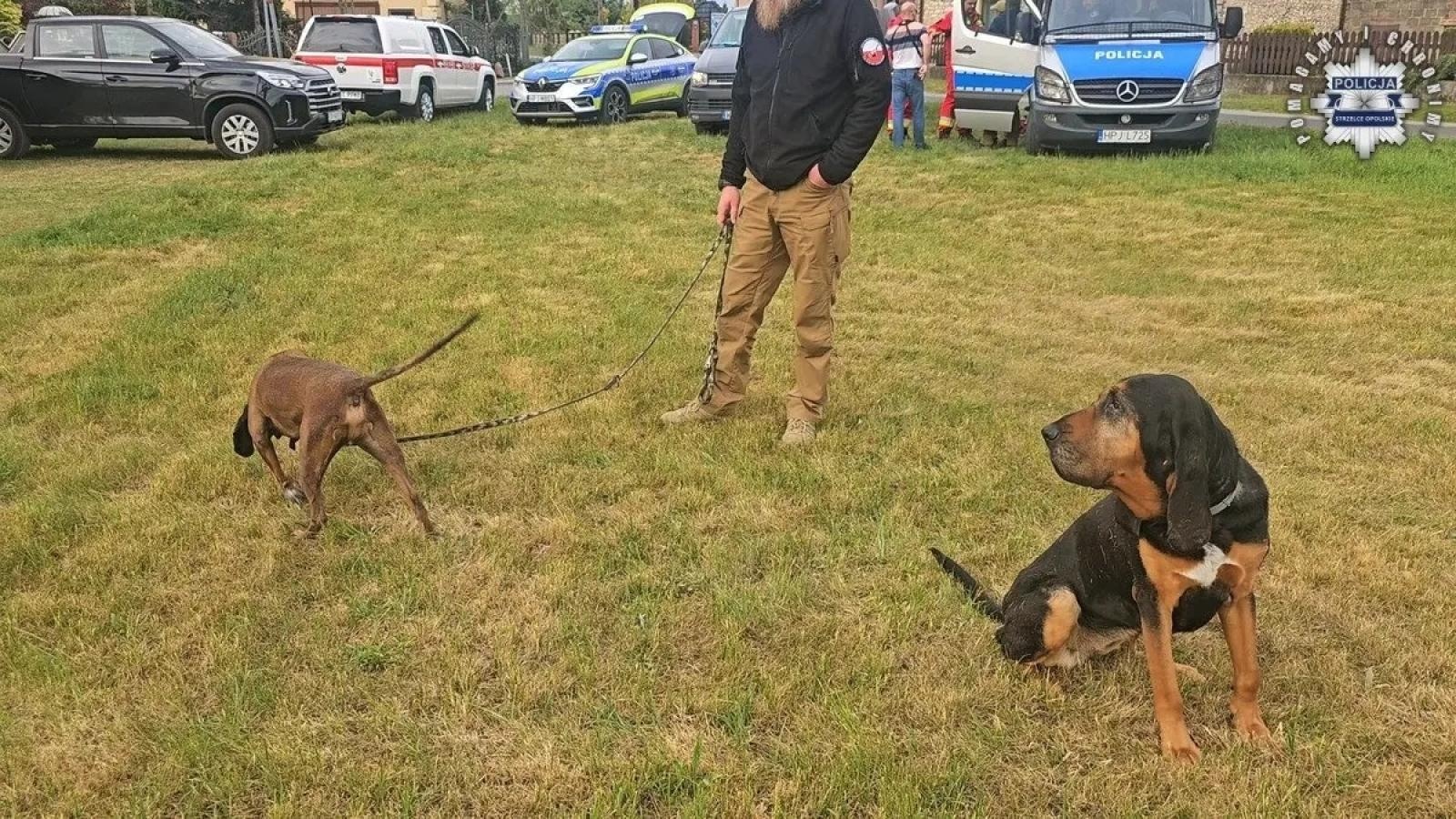 Zdjęcie w galerii na portalu naszwodzislaw.com: Zatrzymano 24-latka z Żor, u którego przebywała 11-letnia Patrycja wiadomości z regionu