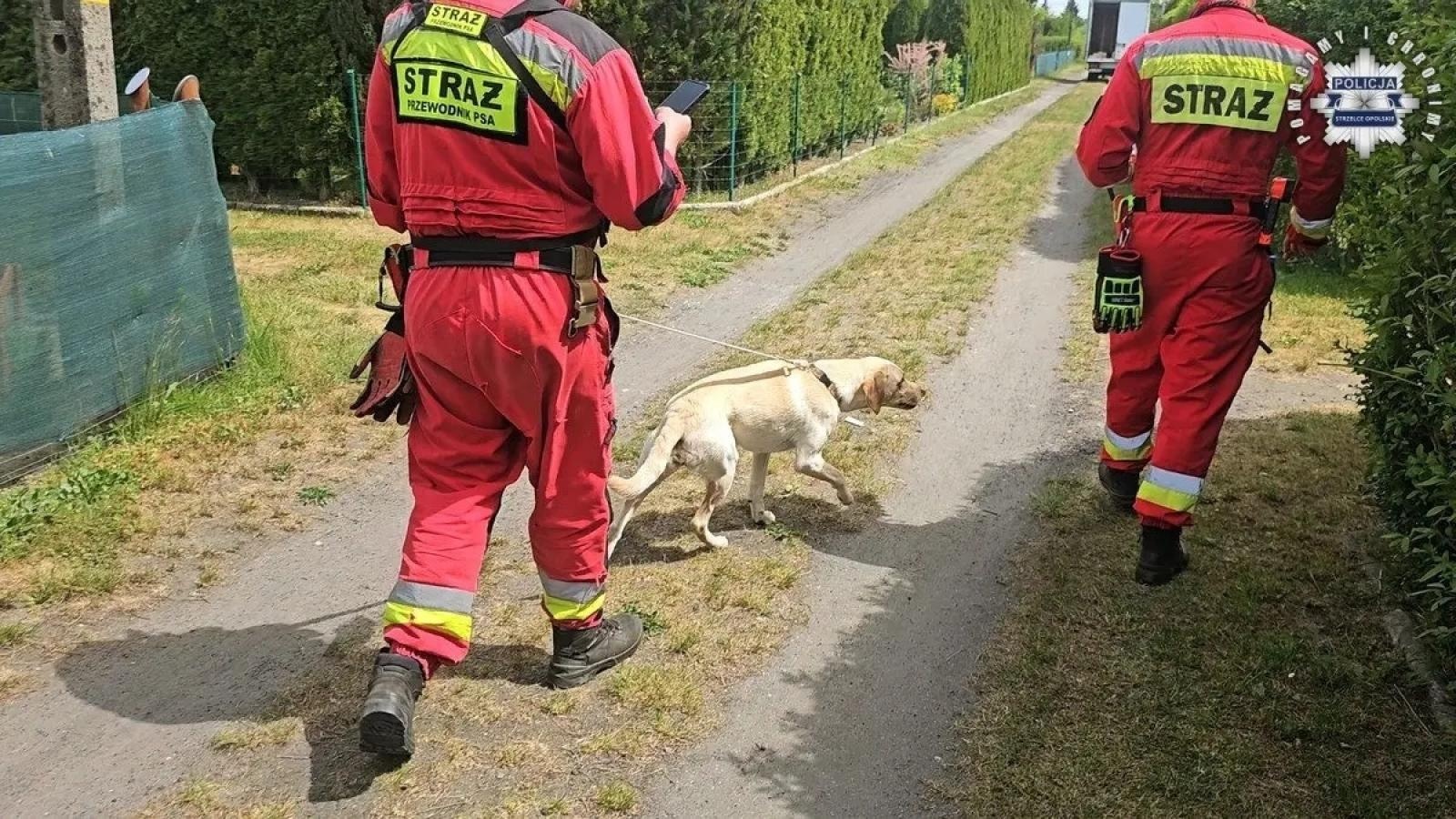 Zdjęcie w galerii na portalu naszwodzislaw.com: Zatrzymano 24-latka z Żor, u którego przebywała 11-letnia Patrycja wiadomości z regionu