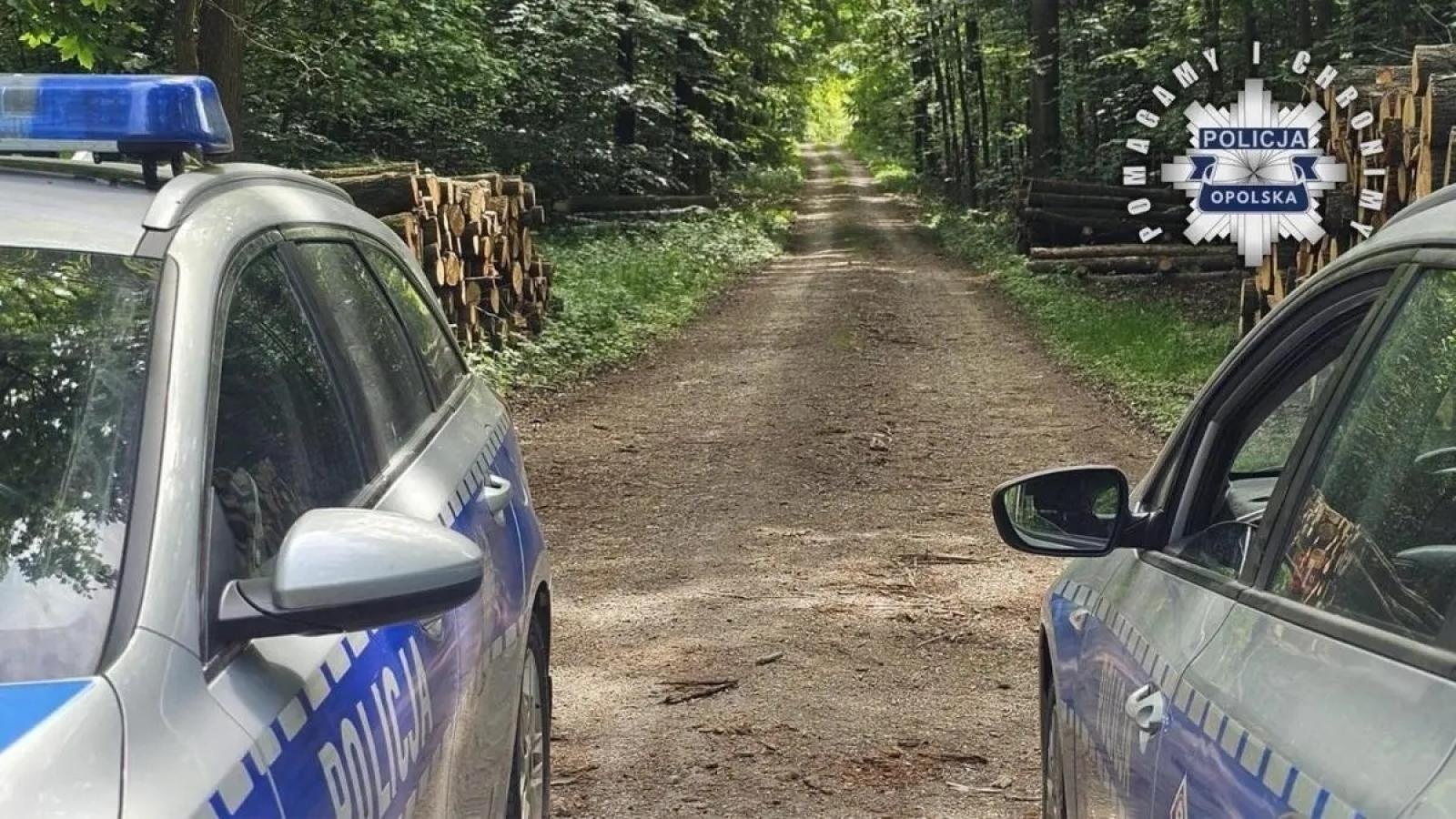 Zdjęcie w galerii na portalu naszwodzislaw.com: Zatrzymano 24-latka z Żor, u którego przebywała 11-letnia Patrycja wiadomości z regionu