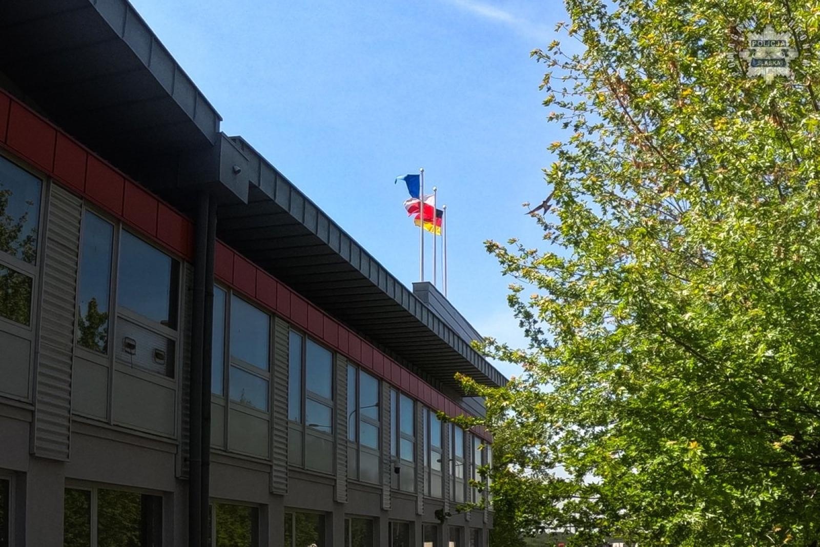 Zdjęcie w galerii na portalu naszwodzislaw.com: Śląscy policjanci zatrzymali Bułgara podejrzanego o handel ludźmi wiadomości z regionu