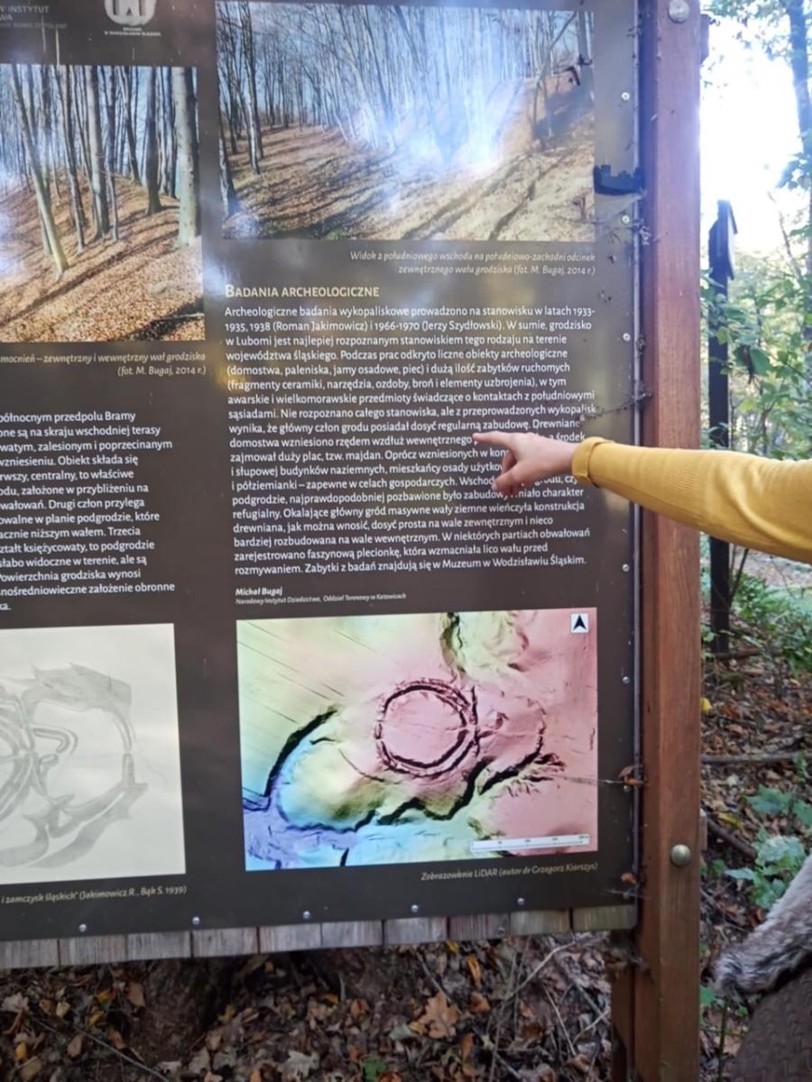 Zdjęcie w galerii na portalu naszwodzislaw.com: LIST DO REDAKCJI Lasy rudzkie kiedyś były cennymi płucami Śląska – co się z nimi dzieje? wiadomości z regionu