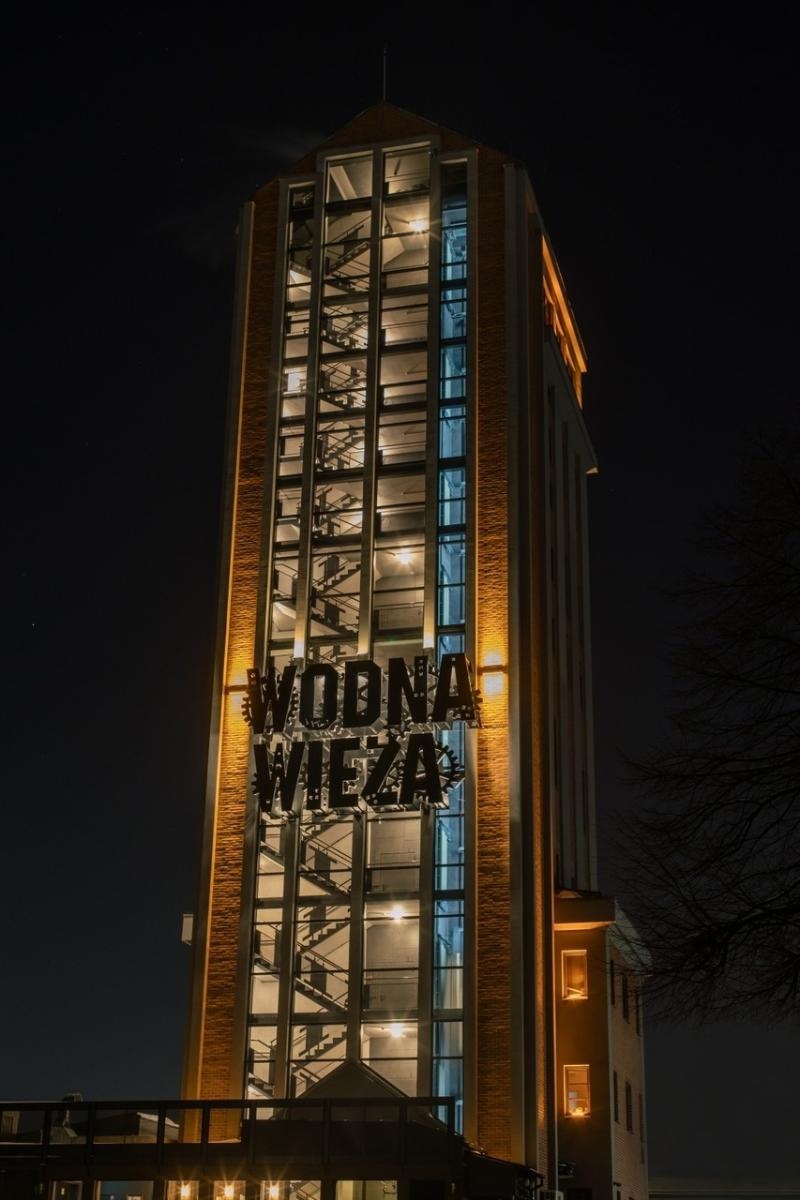 Zdjęcie w galerii na portalu naszwodzislaw.com: Kwitnące ogrody, widowiskowe mappingi i ceramiczne arcydzieła - Pszczyna zaprasza na Daisy Days 2025 wiadomości z regionu