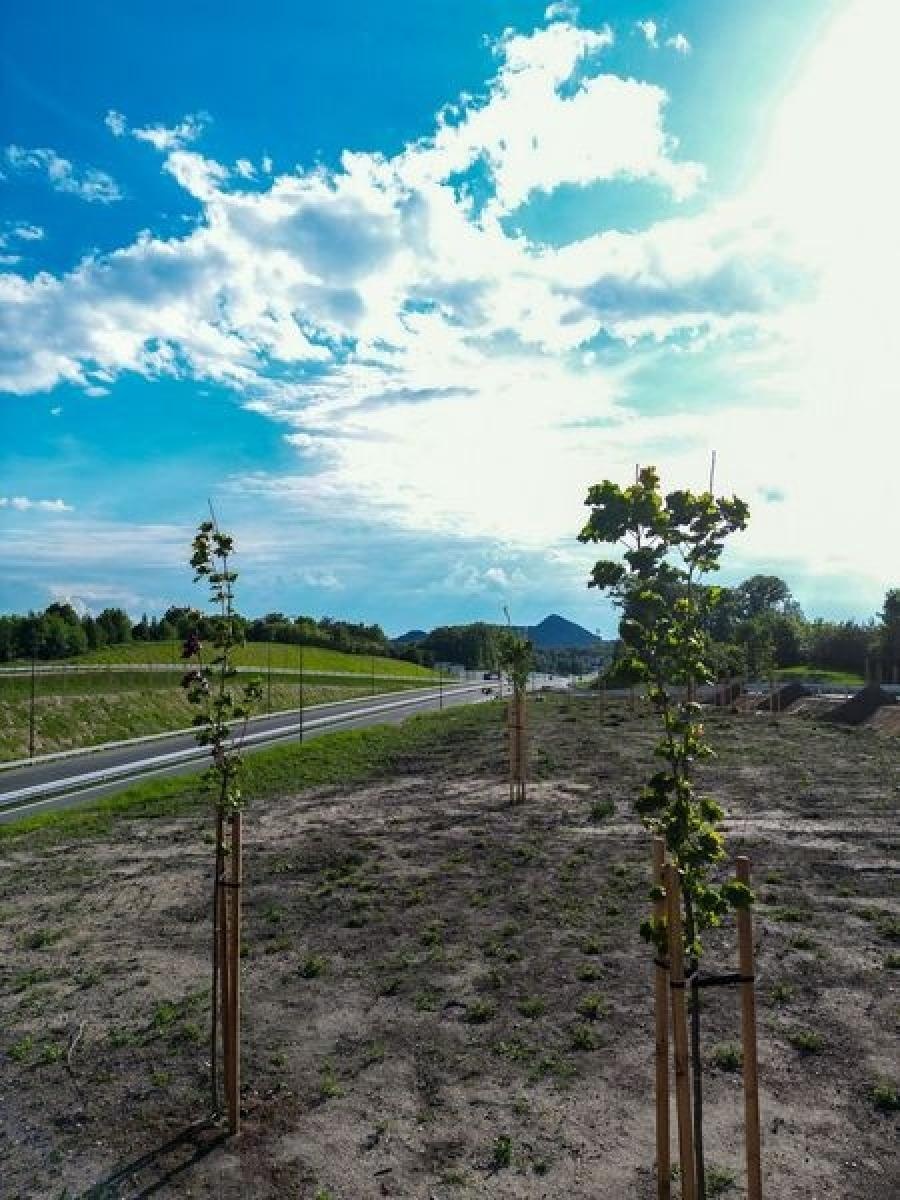 Zdjęcie w galerii na portalu naszwodzislaw.com: Finisz na Drodze Regionalnej  wiadomości z regionu