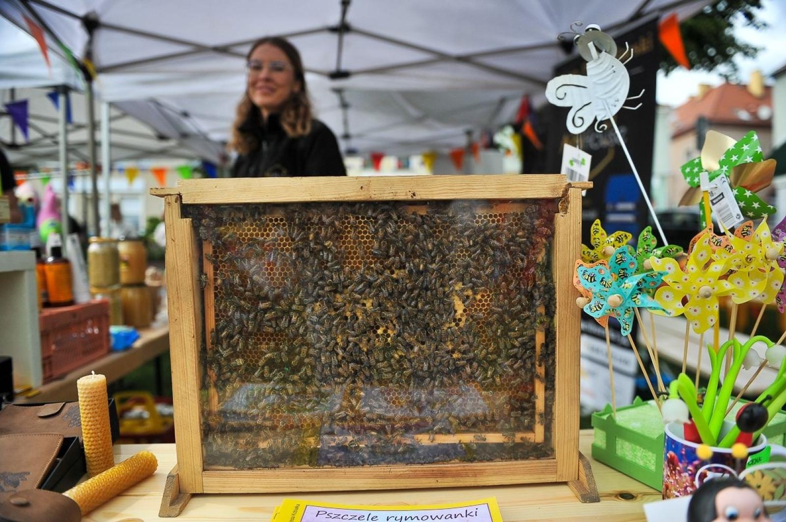 Zdjęcie w galerii na portalu naszwodzislaw.com: Powiatowy Festiwal Kultury 2025. Święto tradycji, talentów i zabawy za nami wiadomości z regionu